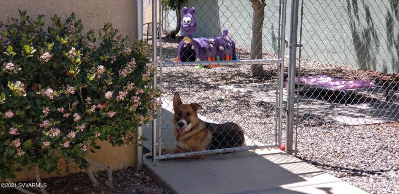 output-image1637356506925