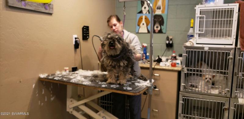 output-image1637356189068