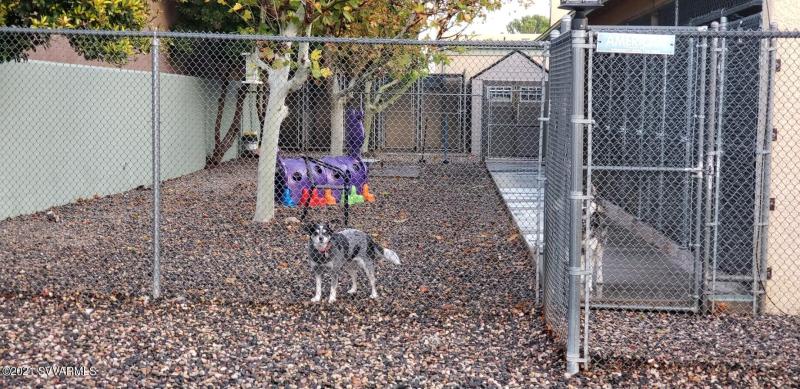 output-image1637356024167