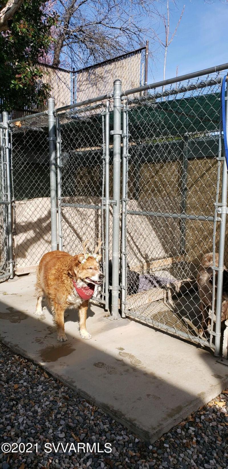 output-image1637355873380