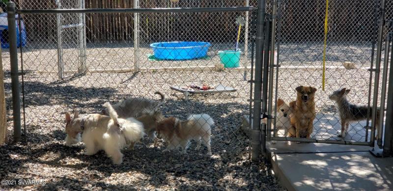 output-image1637355436533