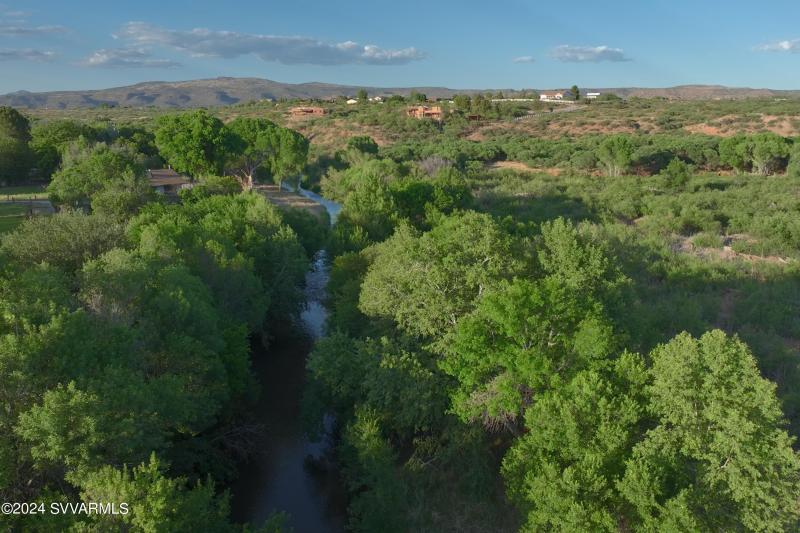 Lush vegetation around the creek