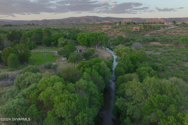 Lush vegetation around the creek
