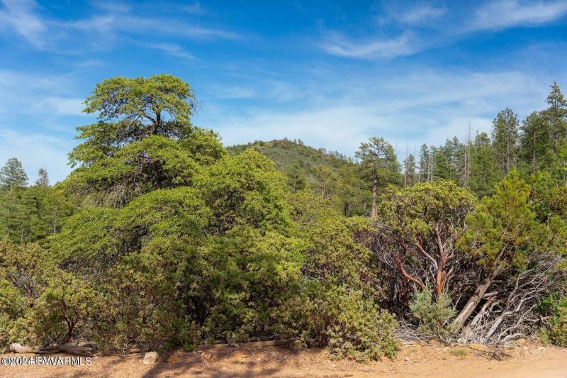 20240808060746069366000000-o