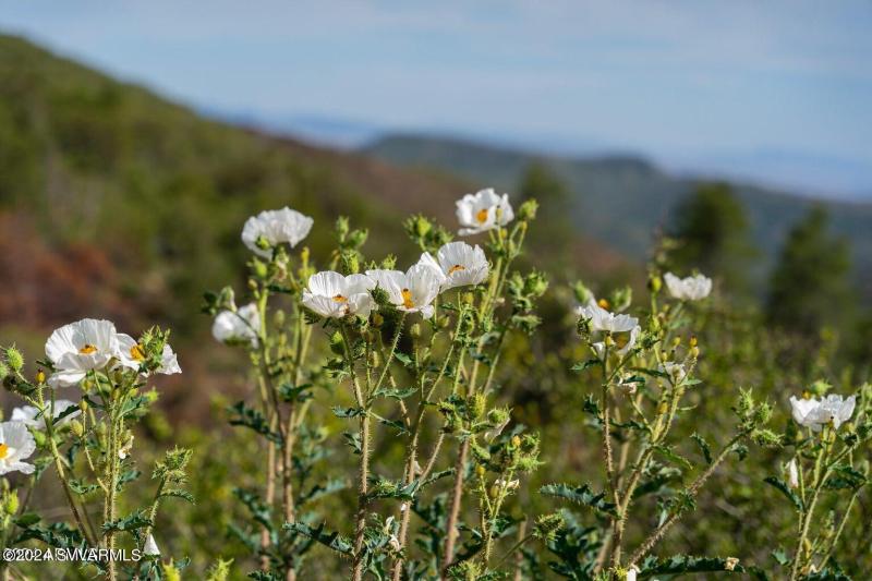 20240808060859029646000000-o