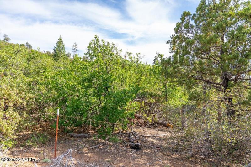 20240808060915145981000000-o