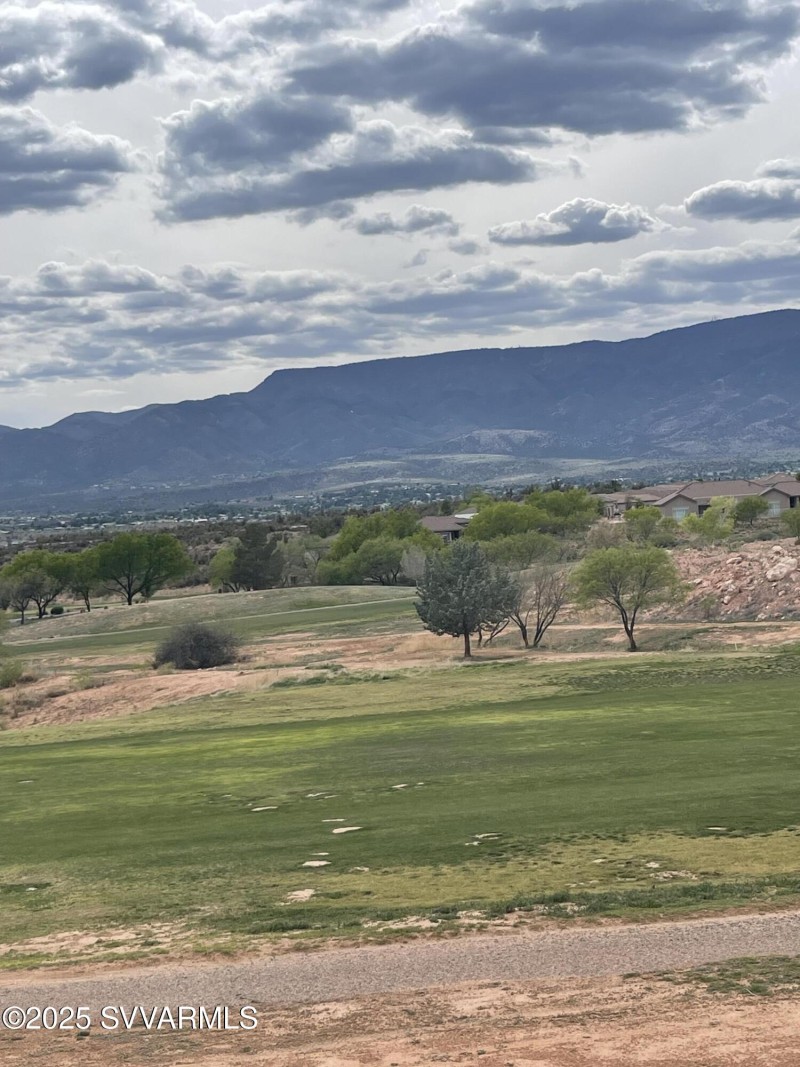 View from backyard 2