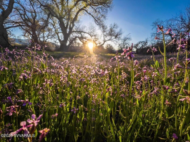 61-20230405-Greg Bernstein-Deadhorse Spr