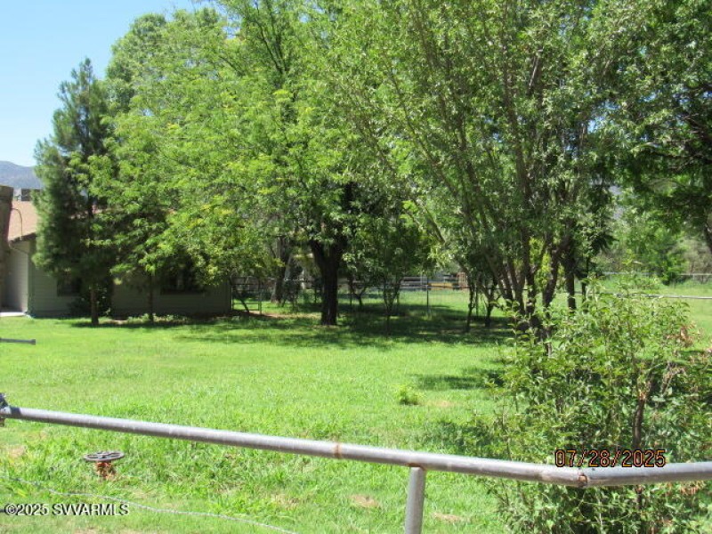fruit trees in front