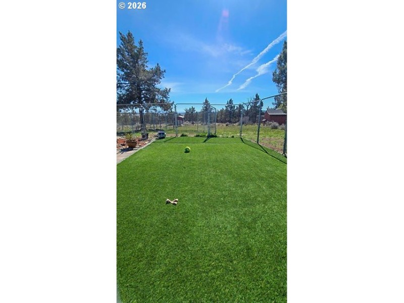 Dog Run