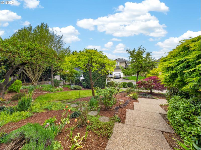 Front Yard