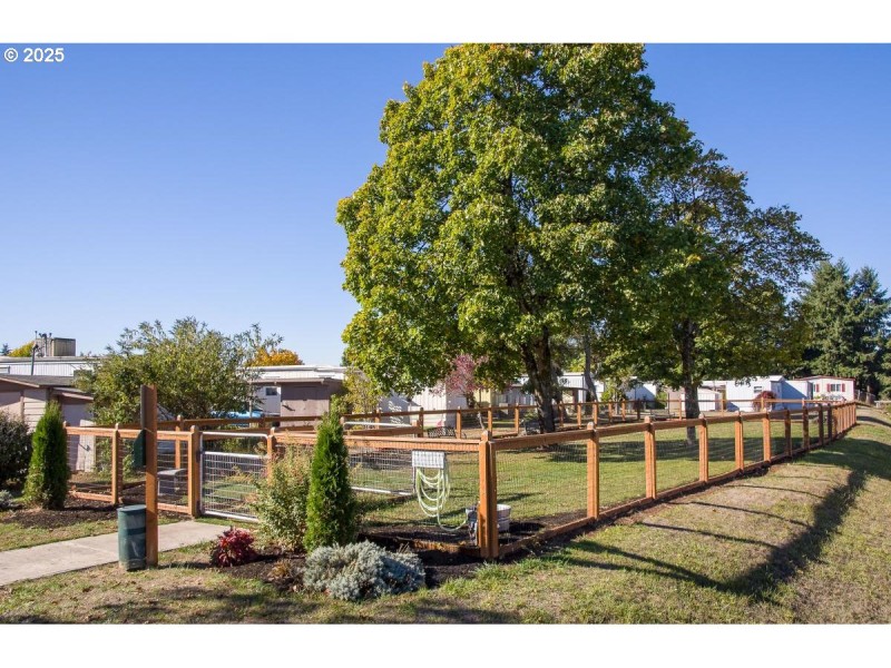 Community Amenities