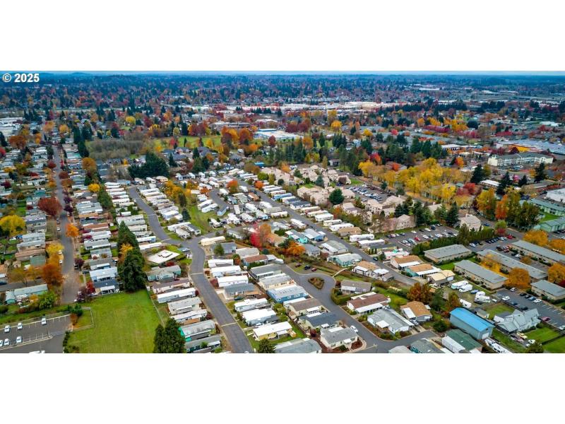 Community Park