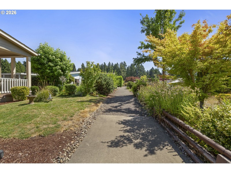 Front Yard