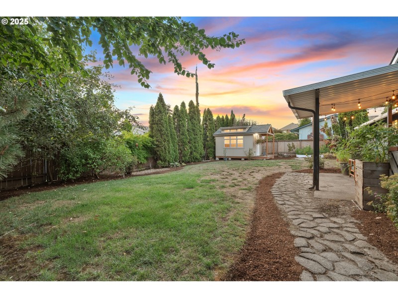 Backyard