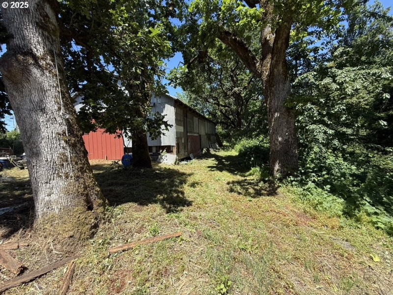 Barn