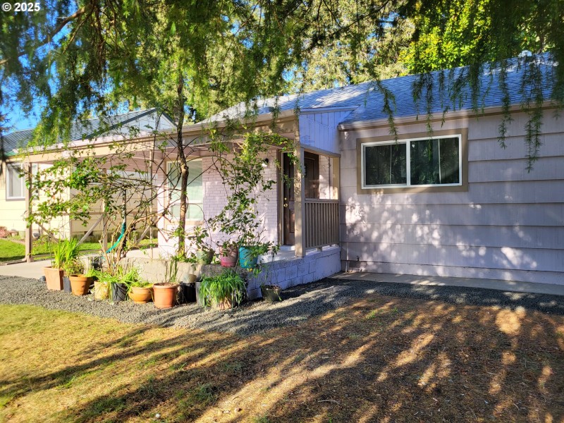 Front Yard