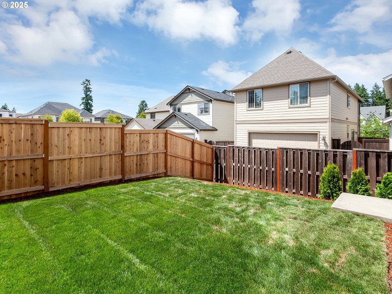 Backyard