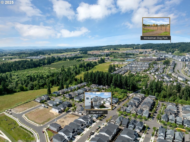 Drone View/UAV