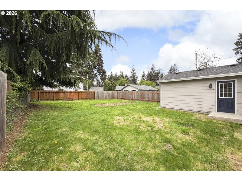 Backyard
