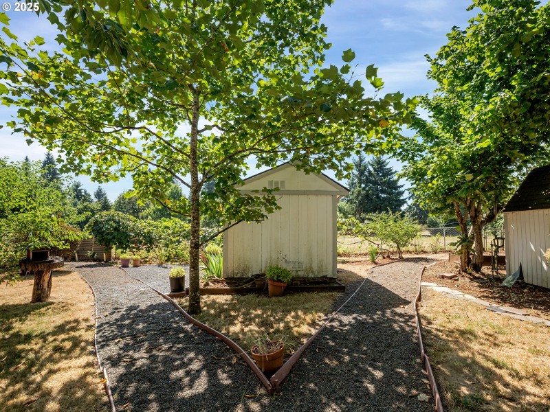 Shed