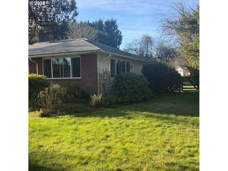 Front Yard