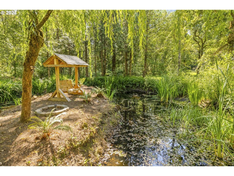 Pond