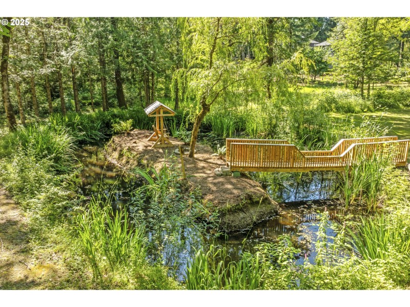 Pond