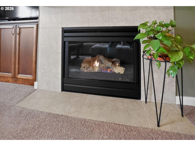 Fireplace Gas