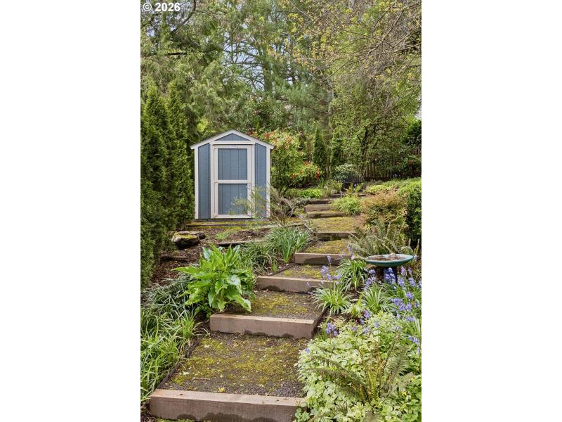 Shed