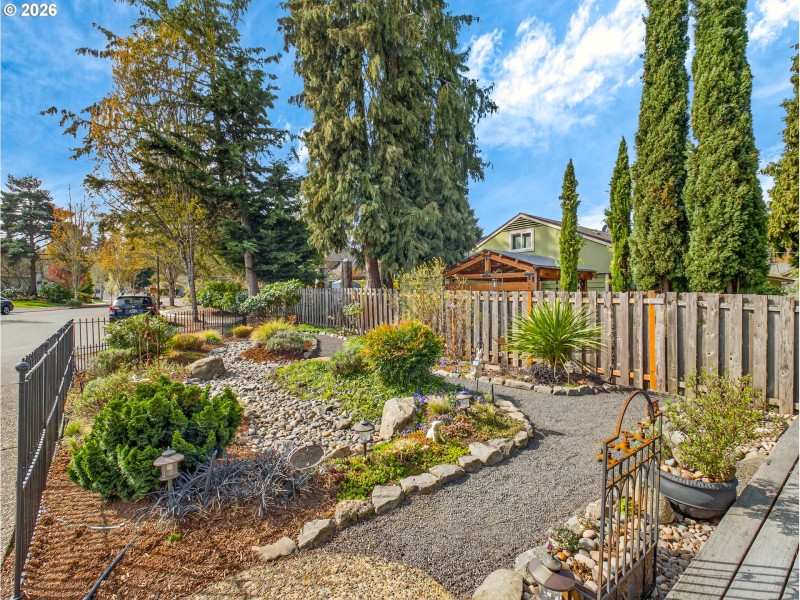 Front Yard