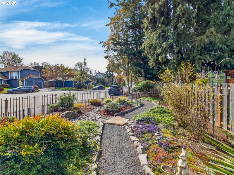 Front Yard