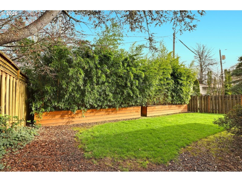 Yard