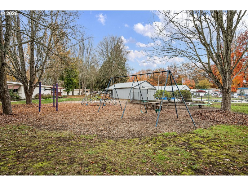 Community Playground