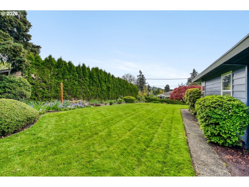 Yard