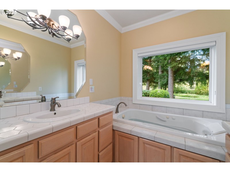 Owner's Suite Bathroom