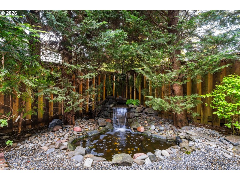 Water Feature