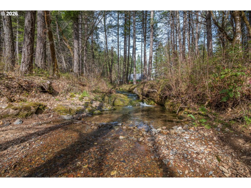 Creek