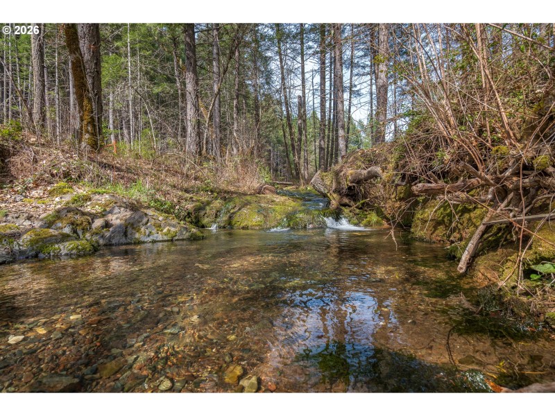 Creek