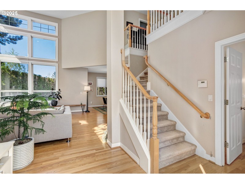 Living Room/Entrance