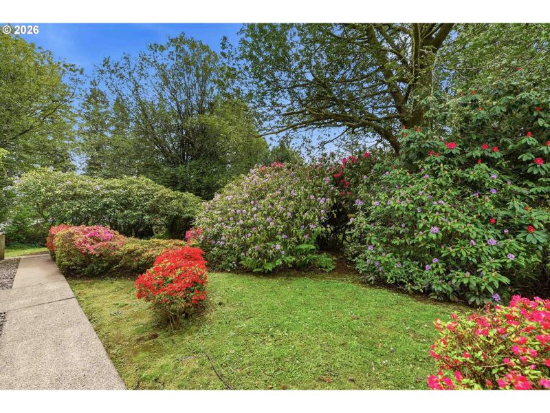 Front Yard