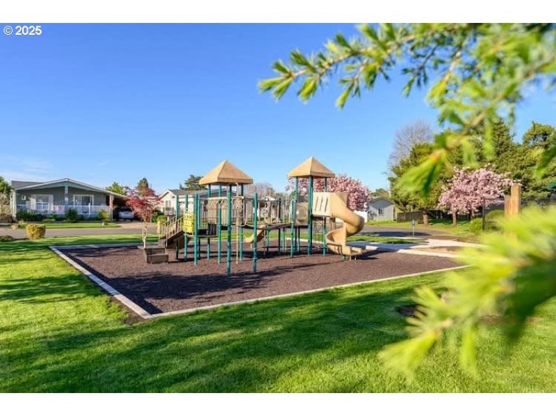 Community Playground