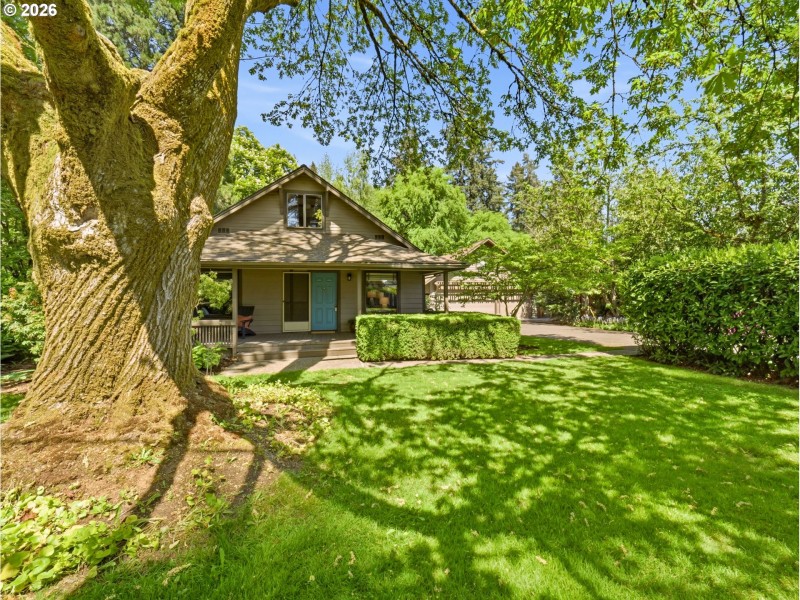 Front Yard