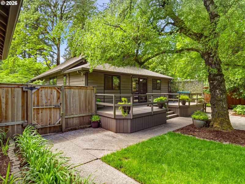Backyard