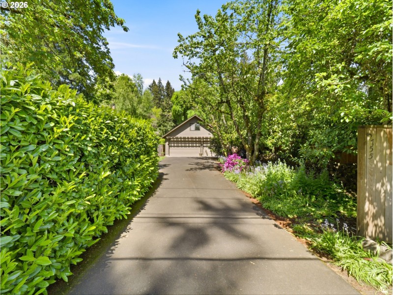 Driveway