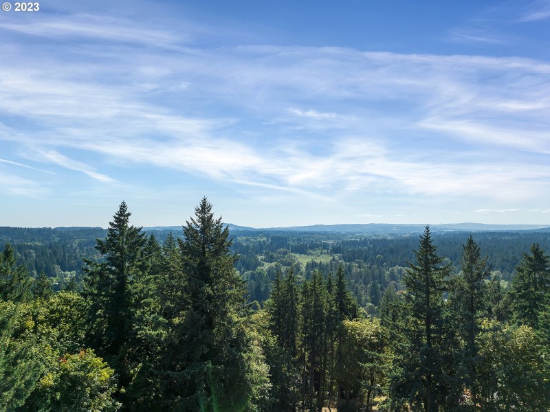 Drone View/UAV