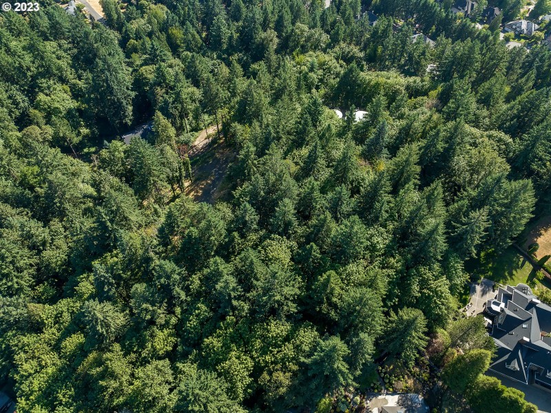 Drone View/UAV