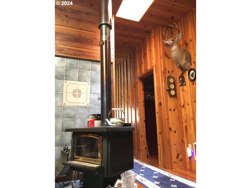 Fireplace Wood Burning Stove/Insert