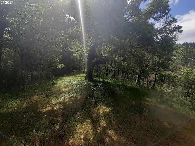 Home Site