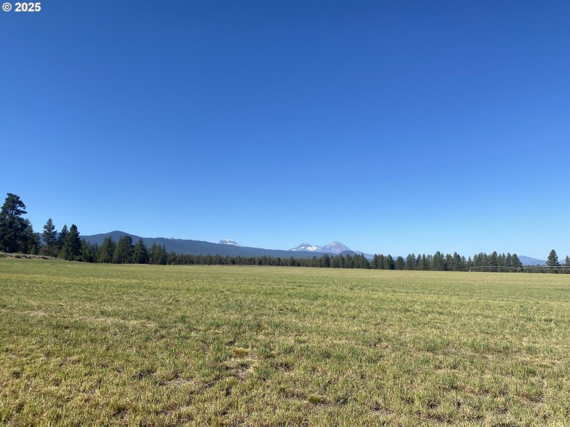Pasture